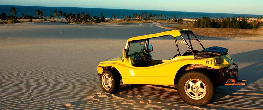 Morning Buggy Tour