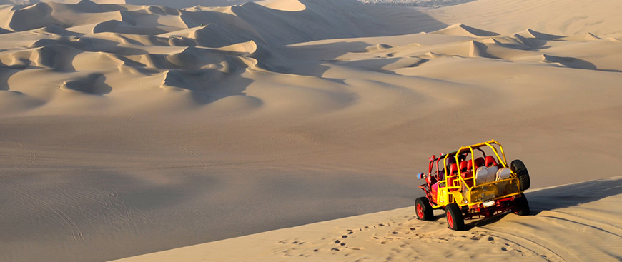 Night Buggy Tour